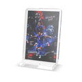 Haiti's WC 26 - Custom Cut Standee